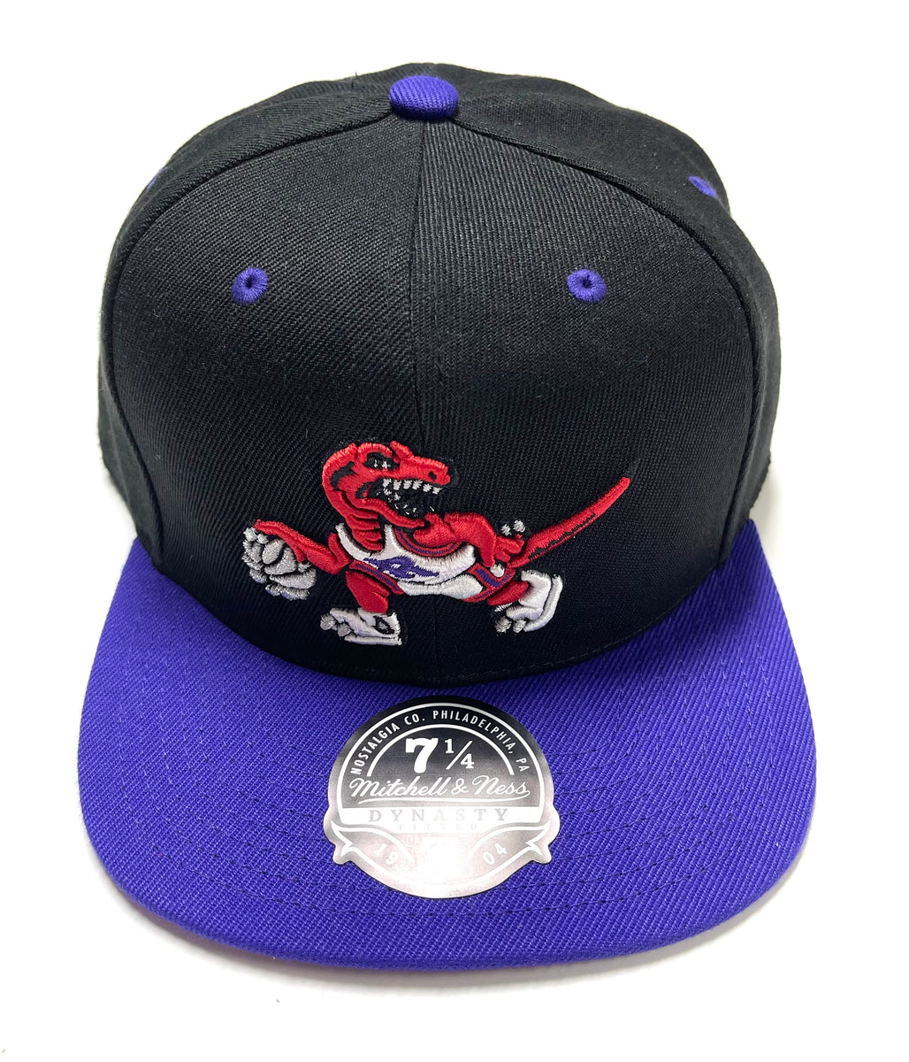 Mitchell & Ness Toronto Raptors Basic 2 Tone Dynasty Fitted Hat