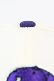 NEW ERA "MIXTAPE" JAMESTOWN JAMMERS FITTED HAT (CHROME/BLACK/PURPLE)
