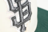 NEW ERA "1 UMBRELLA" SAN FRANCISCO GIANTS  FITTED HAT (CHROME/DARK GREEN)