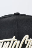 SFC "SANTA CRUZ SCRIPT" FITTED HAT (BLACK/METALLIC SILVER)