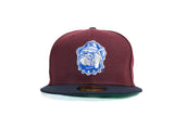 NEW ERA "BUGALOO" GEORGETOWN HOYAS  FITTED HAT (BURGUNDY/NAVY)