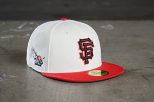 NEW ERA "BIG 3"SF GIANTS FITTED HAT (CHROME/BLACK)