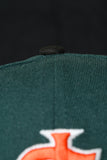 ***PRE-ORDER*** NEW ERA “JUBO GIANTS" SAN JOSE GIANTS FITTED HAT (DARK GREEN/BLACK)