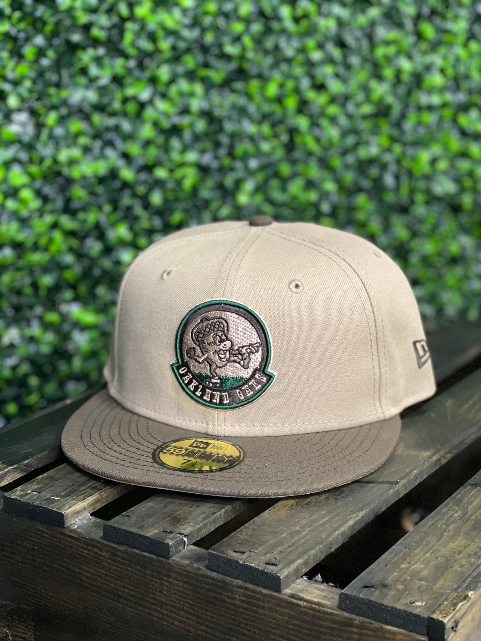 Boston Celtics So Fresh Green Snapback - Mitchell & Ness cap